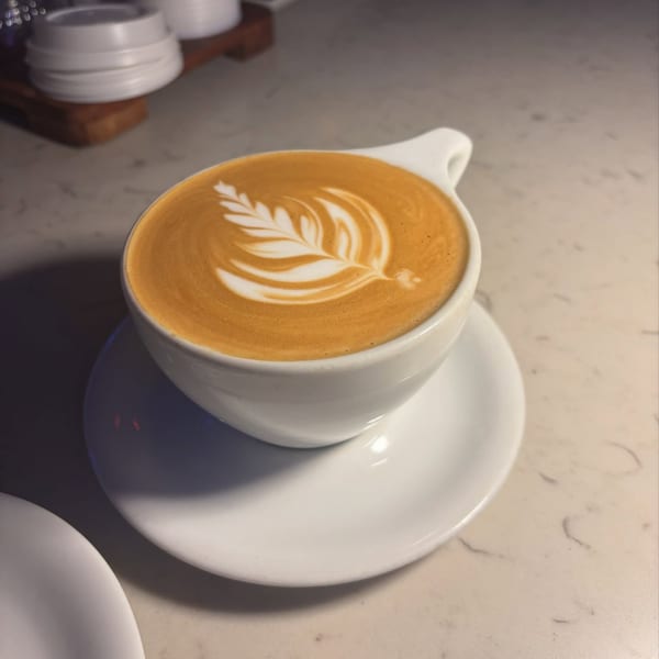 A white cup of latte with intricate leaf-shaped latte art sits on a matching saucer.